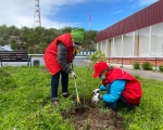 ЗАТО город Заозерск присоединился к международной акции «Сад памяти»