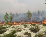 На территории нашего региона продолжается пожароопасный сезон!
